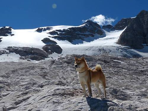 跨界风暴，伊朗足球击溃皇家社会，京多安F1争冠接管比赛