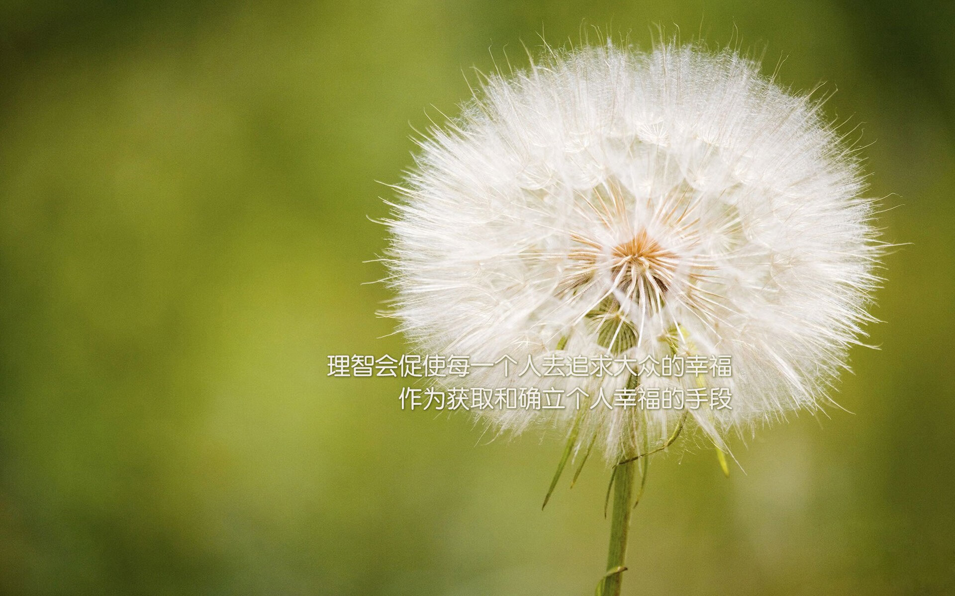 竞技的唯一性，当F1争冠焦点战邂逅广东队轻取鹈鹕