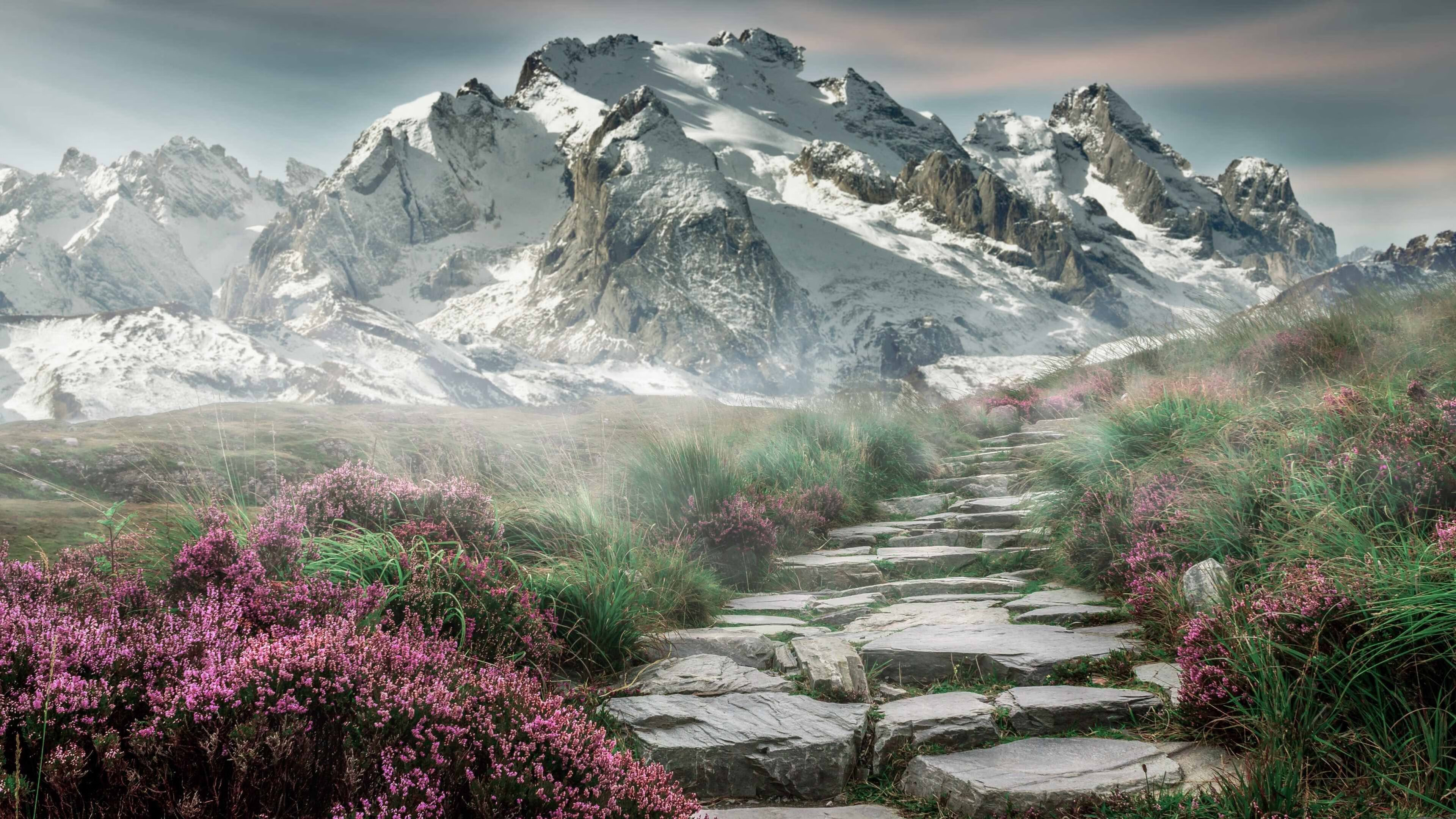 石油德比，当卡塞米罗在绿茵场爆发，沙特已在原油战场冲垮尼日利亚