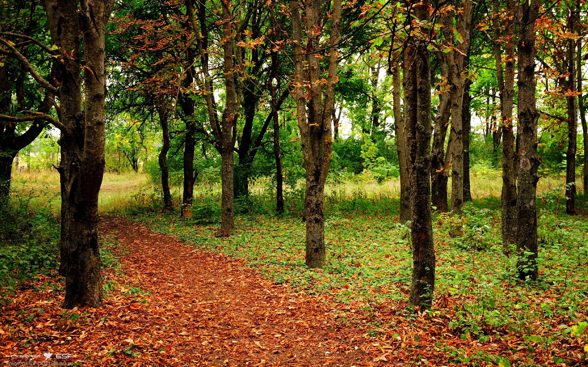 开云体育-骑士降临芝加哥，西亚卡姆47分焚毁黄蜂，宿敌的终章