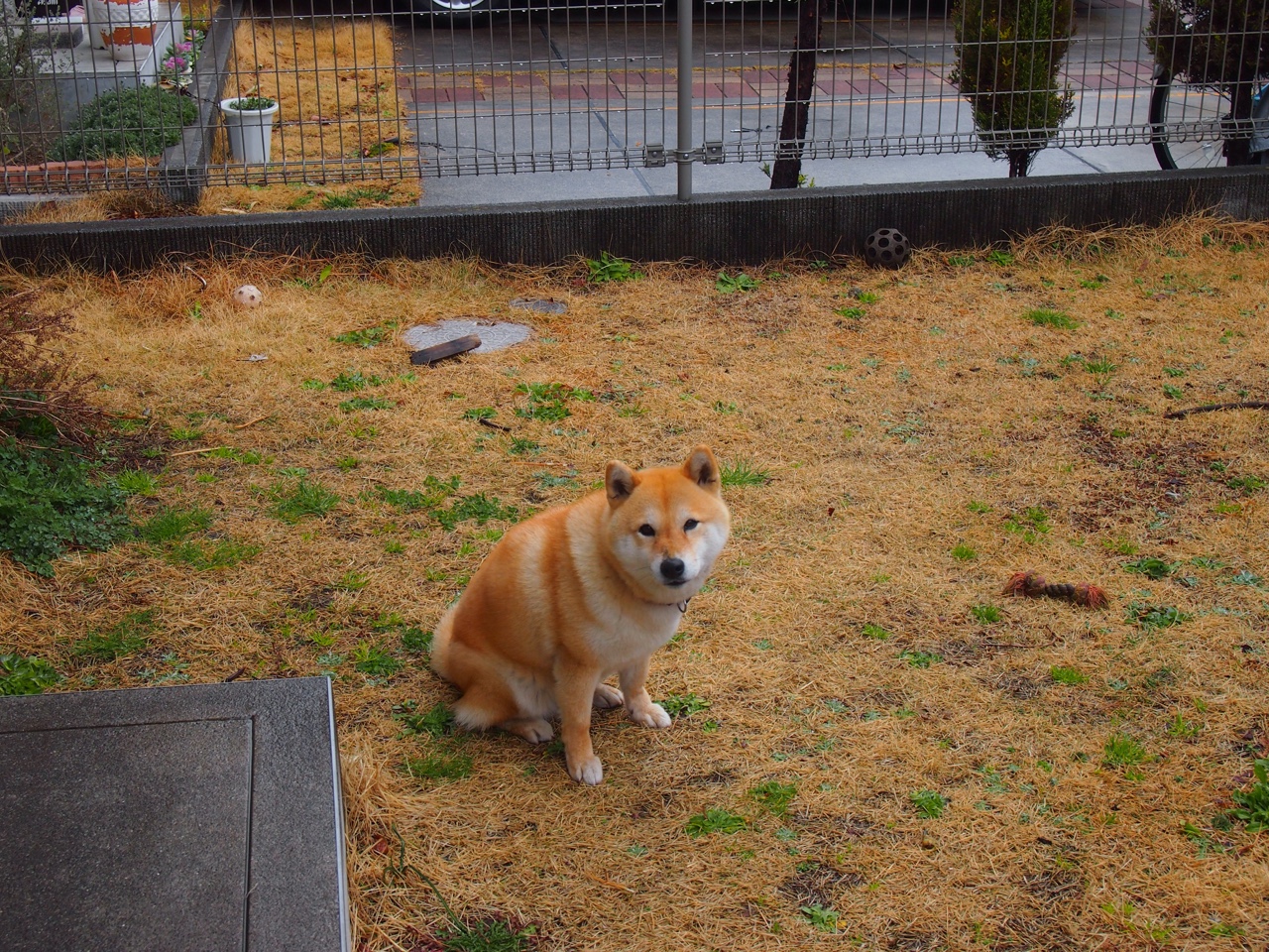 绝境翻盘！波兰惊天逆转智利，库尔图瓦奥运关键战封神