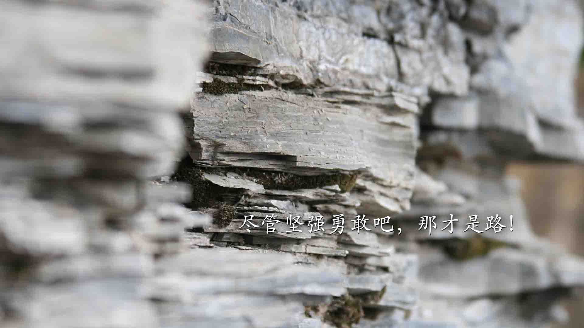 开云-沙漠风暴，2026世界杯巅峰对决，阿联酋如何用隐形王牌碾碎沙特，坎塞洛封神之夜