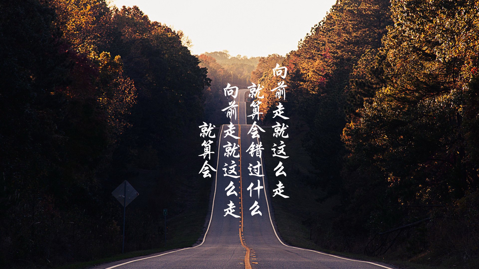沙漠玫瑰的凋零与太极虎的咆哮，2026世界杯H组，当C罗的绝唱撞上孙兴慜的巅峰