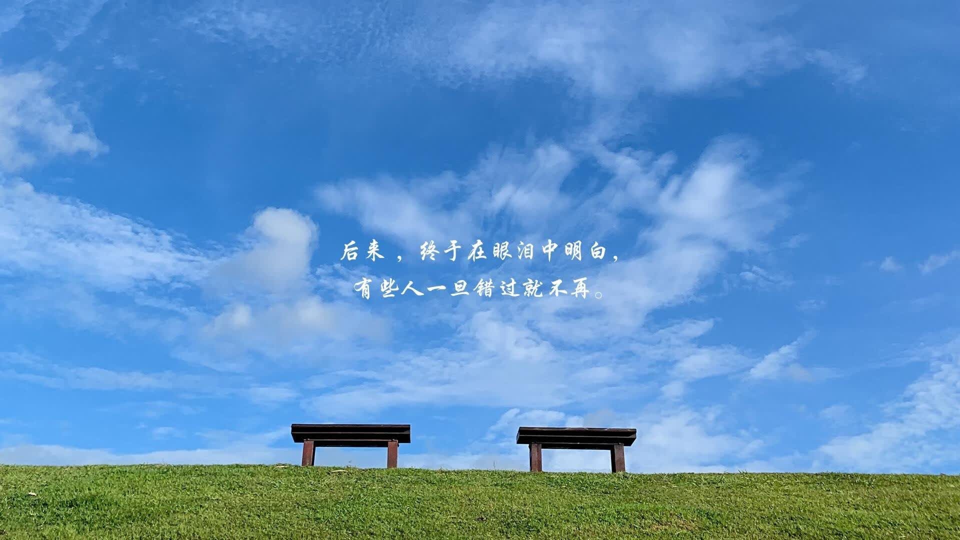 蓝衣军团的叹息，当莱万多夫斯基的孤勇，刺穿2026世界杯D组的唯一铁幕